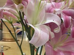 -北京广安门维景国际大酒店