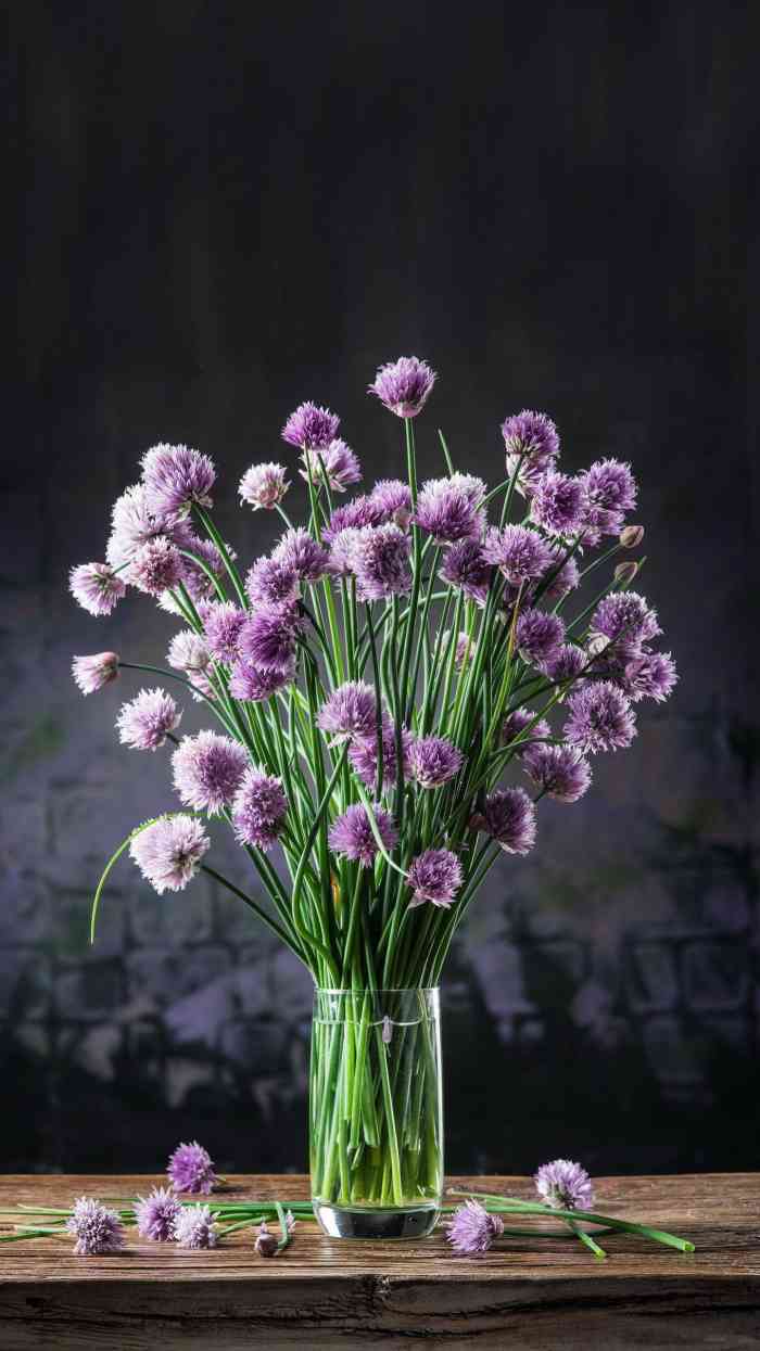 莱雅连锁酒店(雨花亭店)