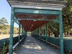 -北京市劳动人民文化宫(太庙)