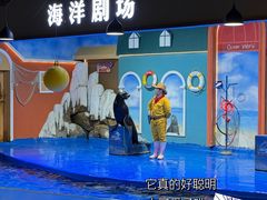 -重庆欢乐海底世界