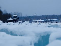 -长春市南湖公园