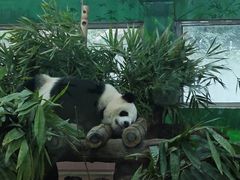 -广州动物园