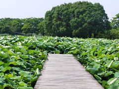 -梁鸿国家湿地公园