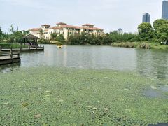 -艾溪湖湿地公园