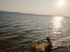 -芒洲湿地公园