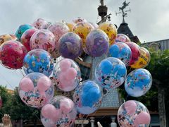 -上海迪士尼度假区