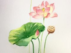-青沐画室·专业美术培训