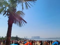 -瑶湖郊野森林公园