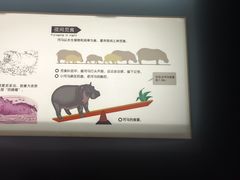 -天津自然博物馆