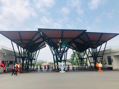 -上海长兴岛郊野公园