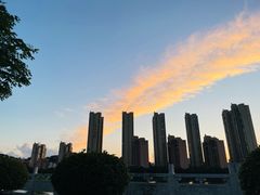 -青龙山国家森林公园