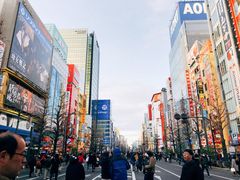 -秋叶原电器街