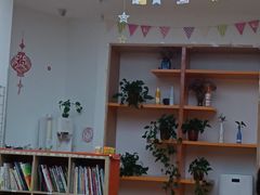 -金色雨林注意力记忆力感统情商思维(立丰国际店)