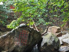 -鼎湖山风景区