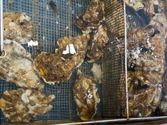 -抹直口特色菜馆(一店)