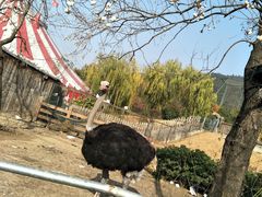 -无锡动物园·太湖欢乐园