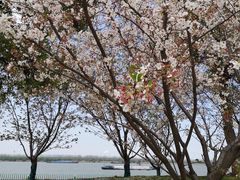 -幕燕滨江·长江观音景区