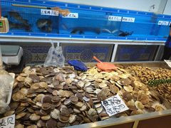 水产区-鑫福隆生鲜超市(沈营大街店)