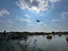 -空港花田景区