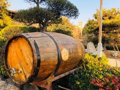 -郑州银基黄帝宫御温泉