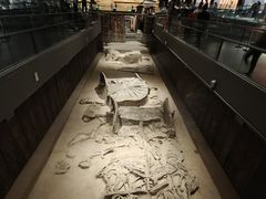 -北京大葆台遗址博物馆