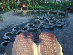 -成都市活水公园
