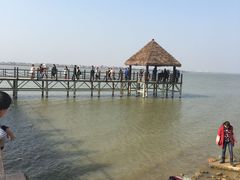 -瑶湖郊野森林公园