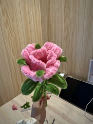 -中法母婴月子中心(南湖创始店)