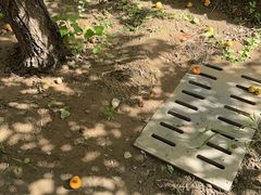 -李叔同故居纪念馆