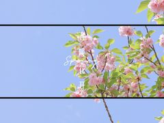-朝阳公园