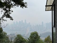 -南山植物园
