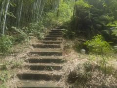 -广州市帽峰山景区