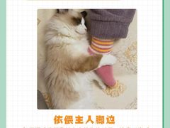 -申普宠物医院·眼科·心内科·影像科(普陀分院)