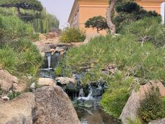 -罗红摄影艺术馆