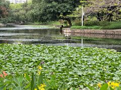 -荔枝公园(福田区)