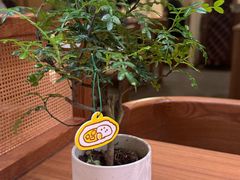 -CURRY YA 熟成咖哩專門店(深圳湾万象城店)