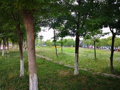 -滆湖低碳生态公园