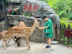 -野象谷景区