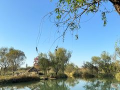 -西溪国家湿地公园