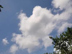 -马峦山郊野公园