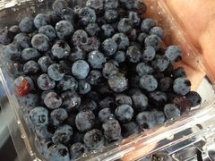 iphone_upload_pic-斯大林公园