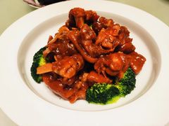 -宝园酒家(美林M·LIVE天地东座店)