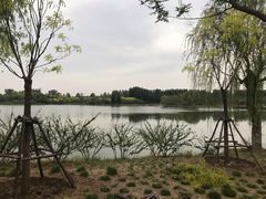 -东郊湿地公园
