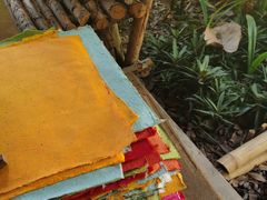 -大象粑粑造纸公园