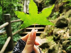 -九如山休闲旅游度假区