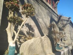 -东华门大街小区