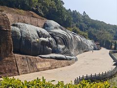-三水森林公园