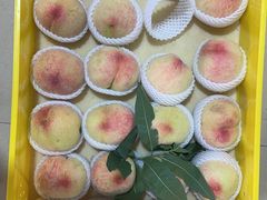 -老袁家蜜桃农场·阳山水蜜桃