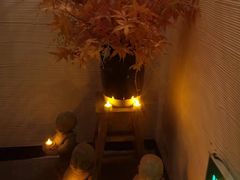 -Dragonfly悠庭·按摩Spa(静安嘉里中心店)