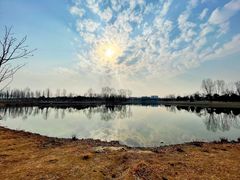 -东郊湿地公园
